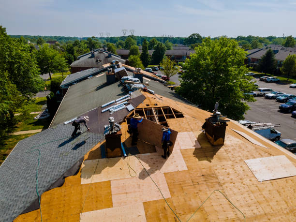 Best Roof Maintenance Services  in Madison Center, CT